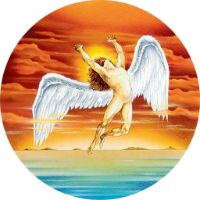 12'' Slipmat - Swan Song 